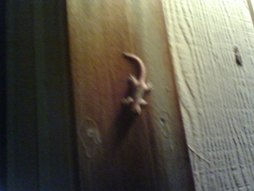 Mmd4nc4xxfss598cw1l7u4mao1_1280