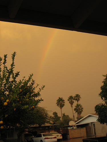 Mmd4nc4xxgs8rwbud8geettqo1_400