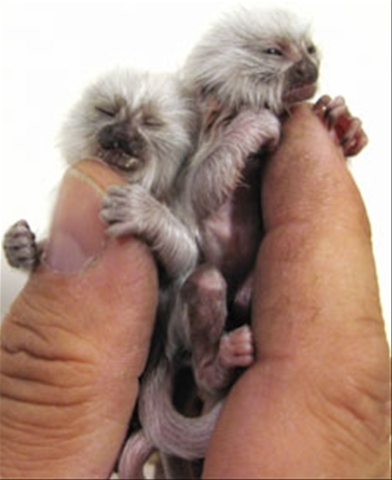 Mmd4nc4xxnrfzwngnkuqtfz7o1_400